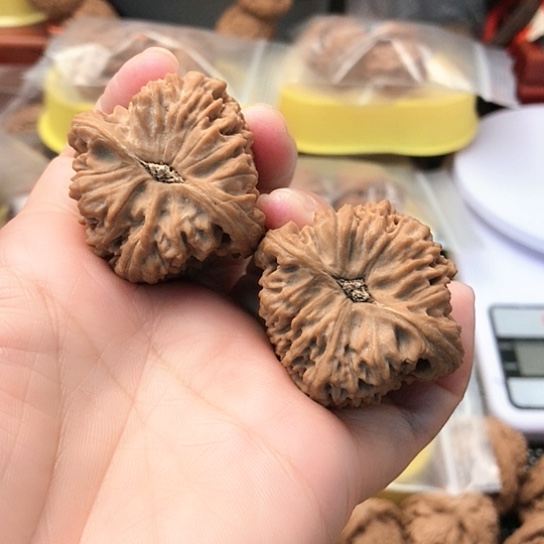 文玩核桃把件咖*哥南疆石