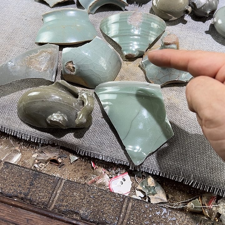 瓷片龙泉窑瓷片标本