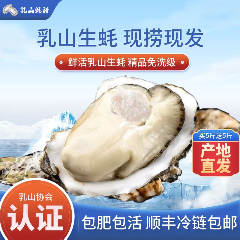 【巨无霸蚝王】正宗乳山生蚝精品牡蛎海蛎子冷水蚝鲜活5斤顺丰包邮