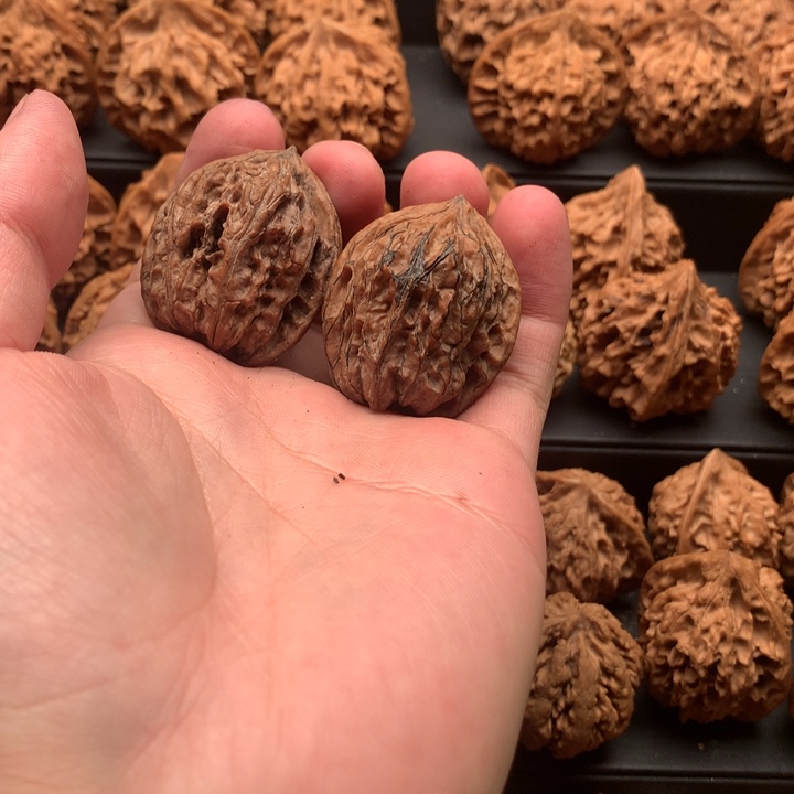 其他核桃余**蔚秦岭微瑕野鸡