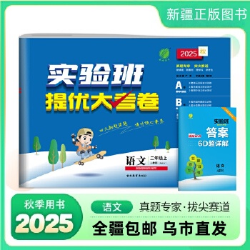 【全疆包邮】2025秋上册 小学实验班提优大考卷
