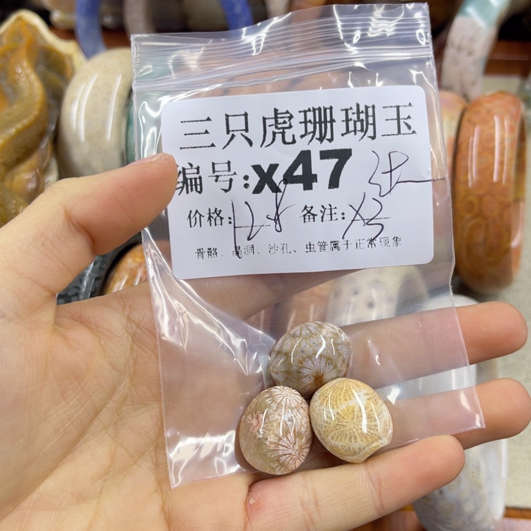 智***膜硅化珊瑚（珊瑚玉）未镶嵌h