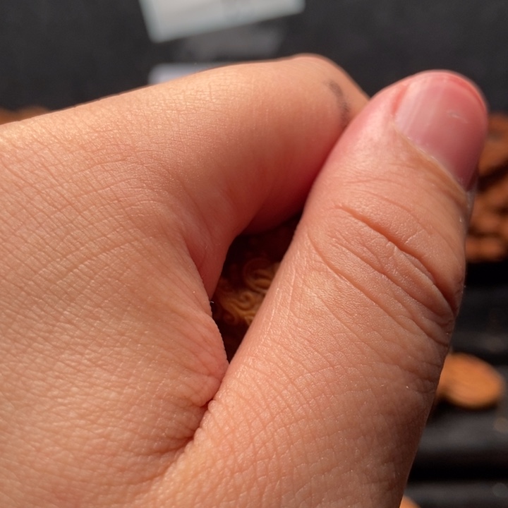 言*核桃雕刻一对把件