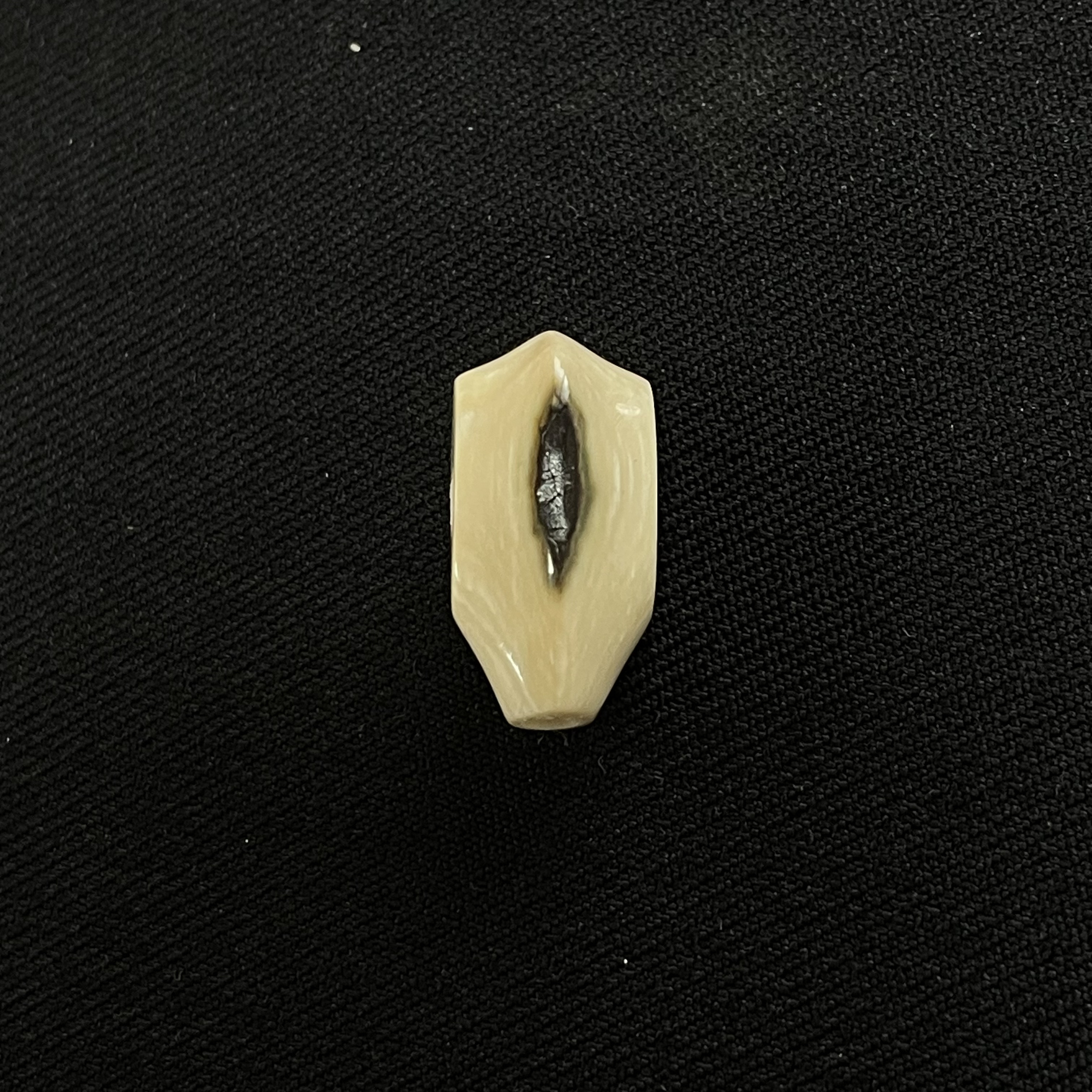 PT204 蓝眼三通 只做天然猛犸牙