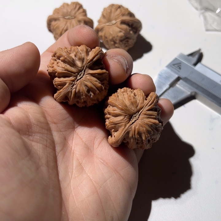 焦***子文玩核桃把件白狮子