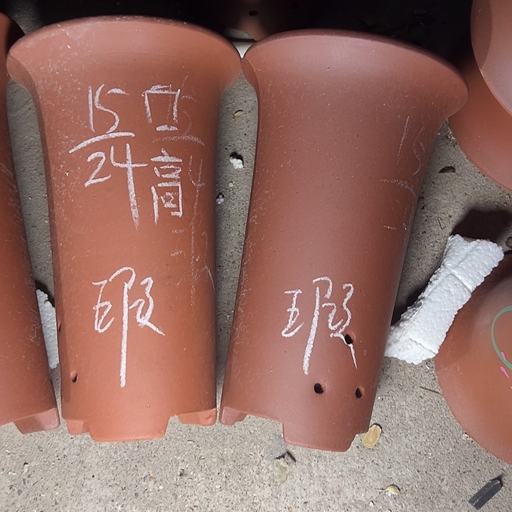 周深周深周深周深周深 