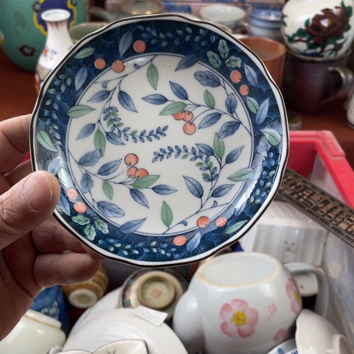 碟开播了开播了开播了