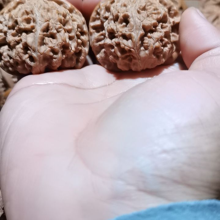 侯***哥文玩核桃吊坠46水龙