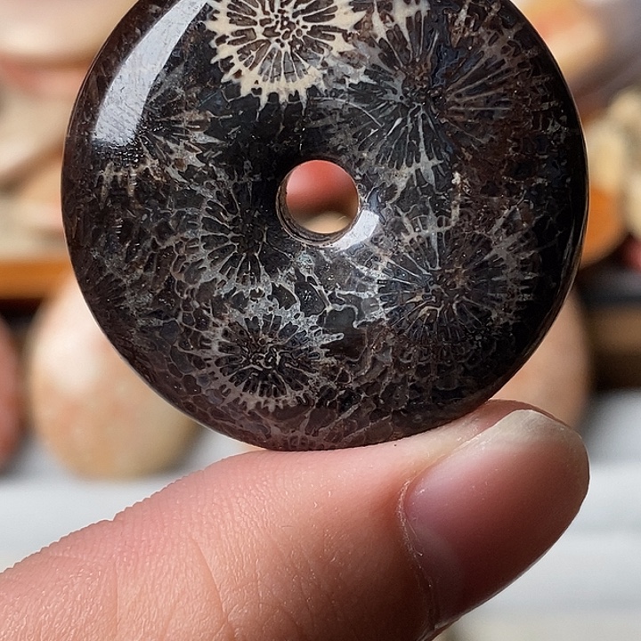 田***n硅化玉未镶嵌颈饰