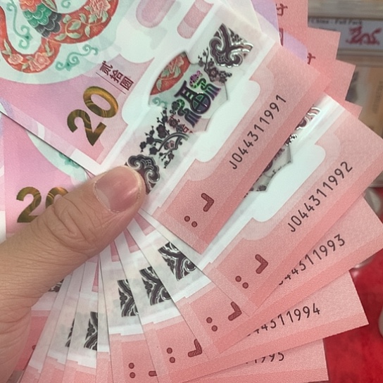 塑料蛇钞标十1991开头包邮