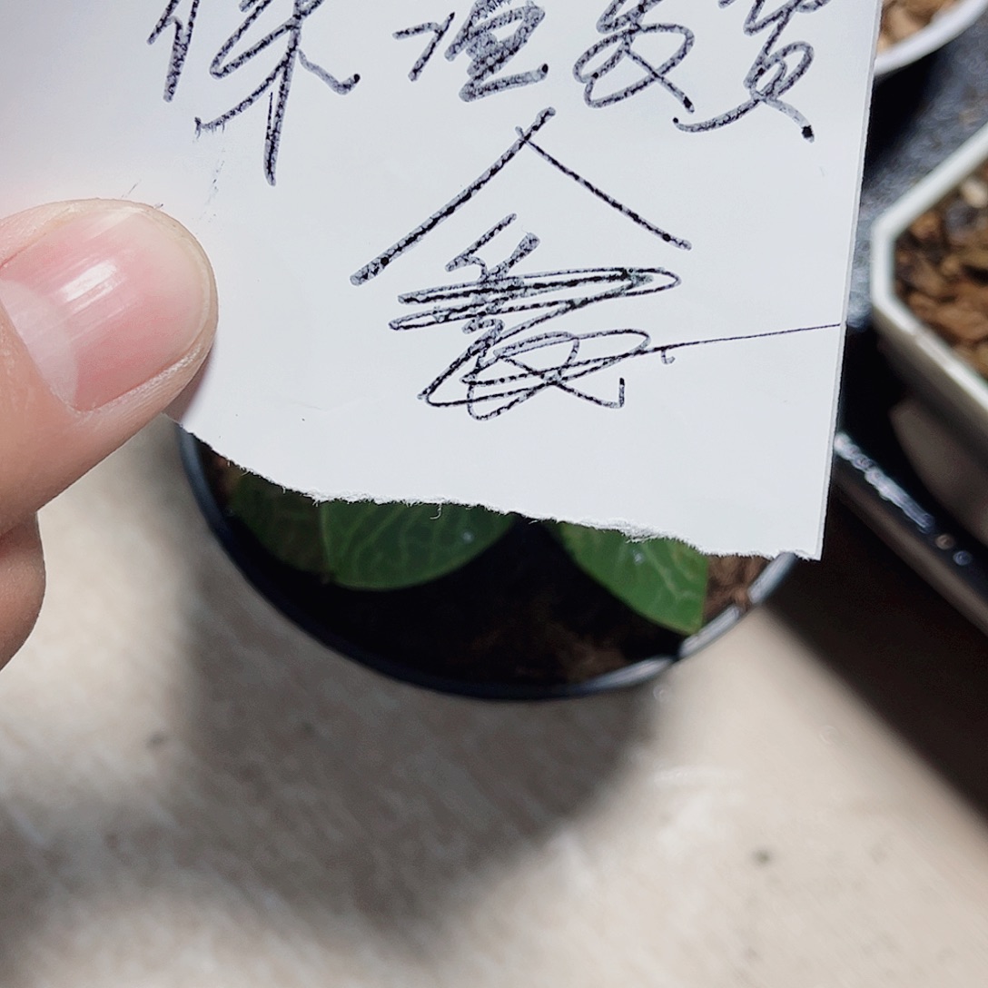 保温发货新手福利