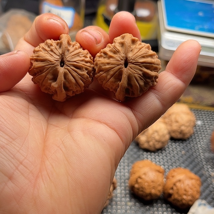 把件桃核全品小金豆子边35