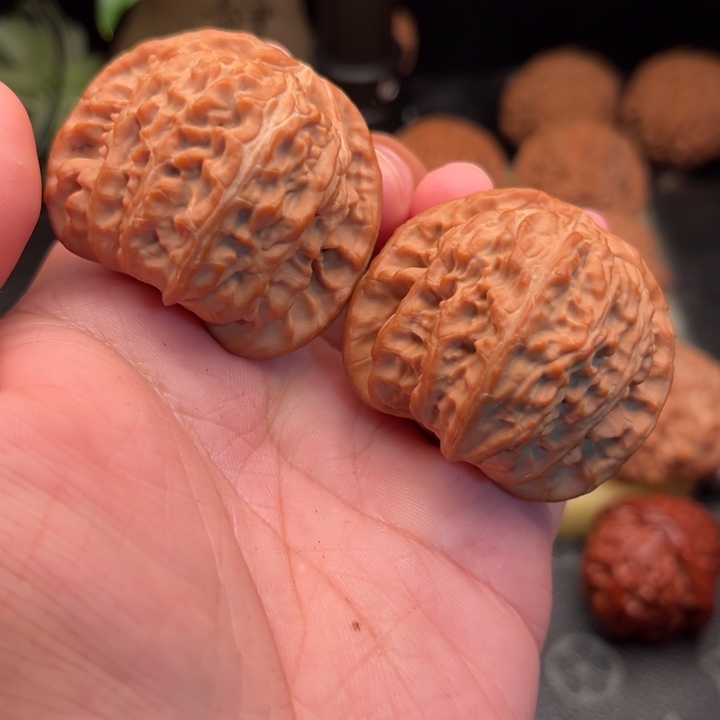 桃核手串42精品白狮子