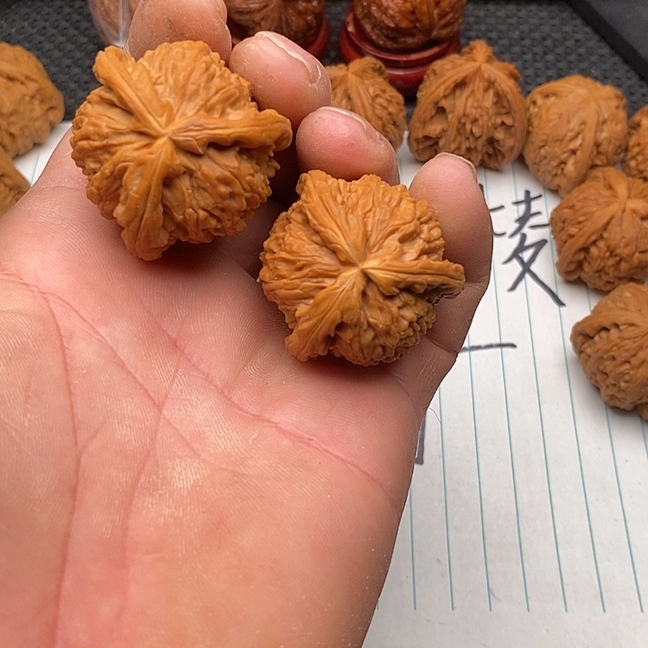 本***杰把件核桃拼接白狮子23