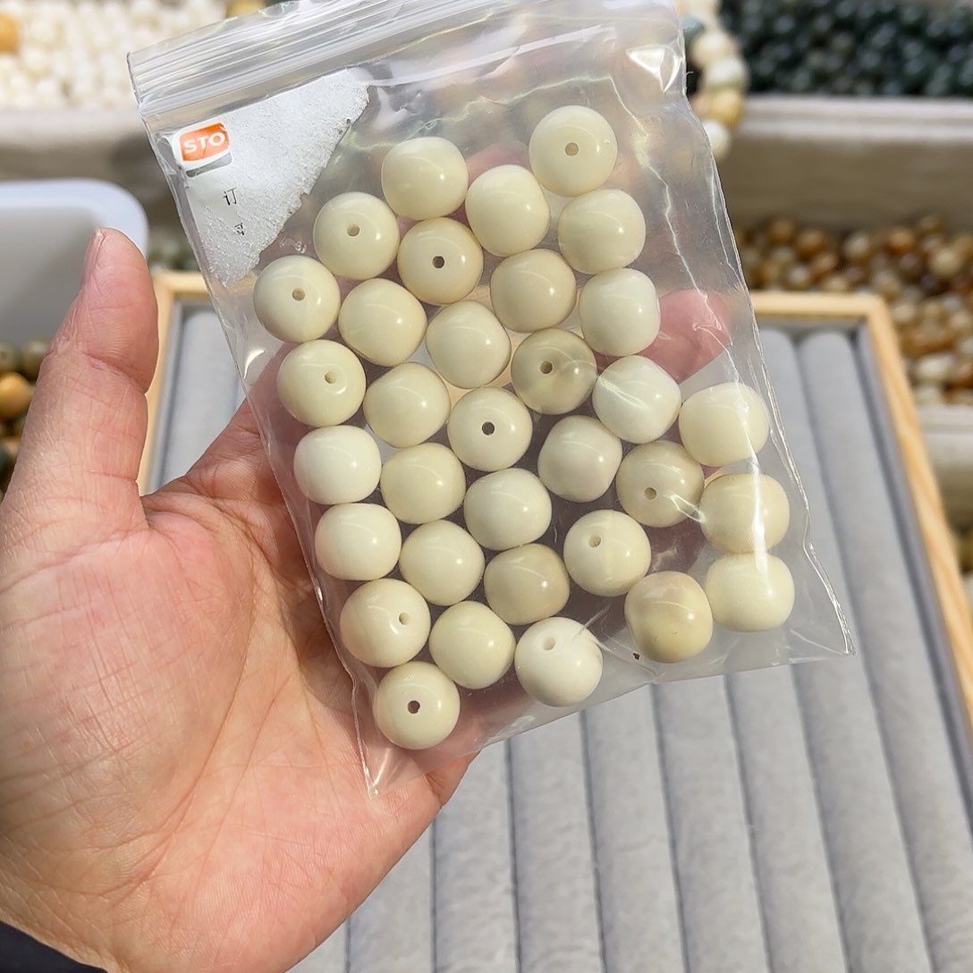 菩提根/象牙果吊坠美****533颗白色