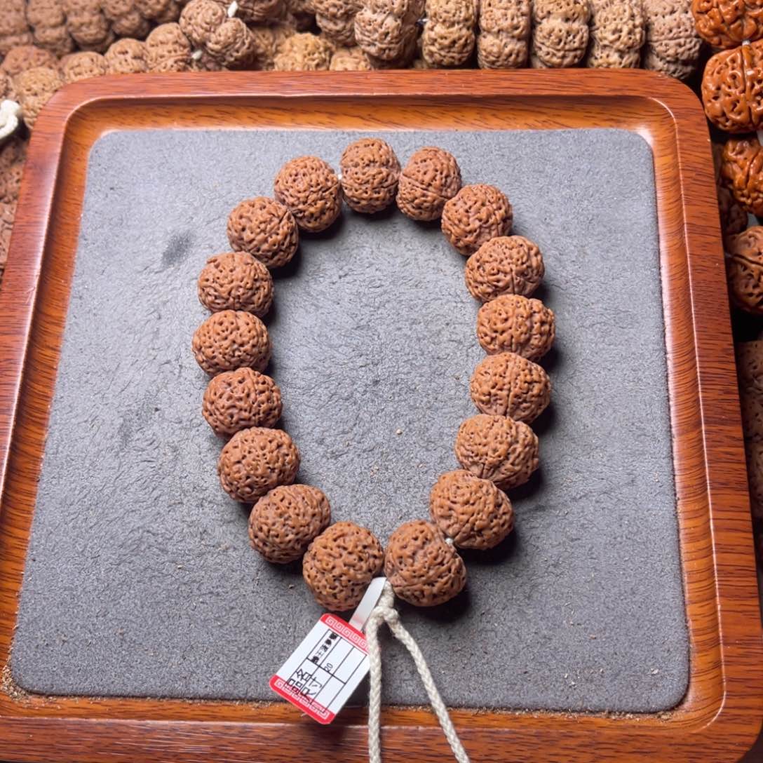 菩提15号金刚菩提五星蜂王菠萝蜜20