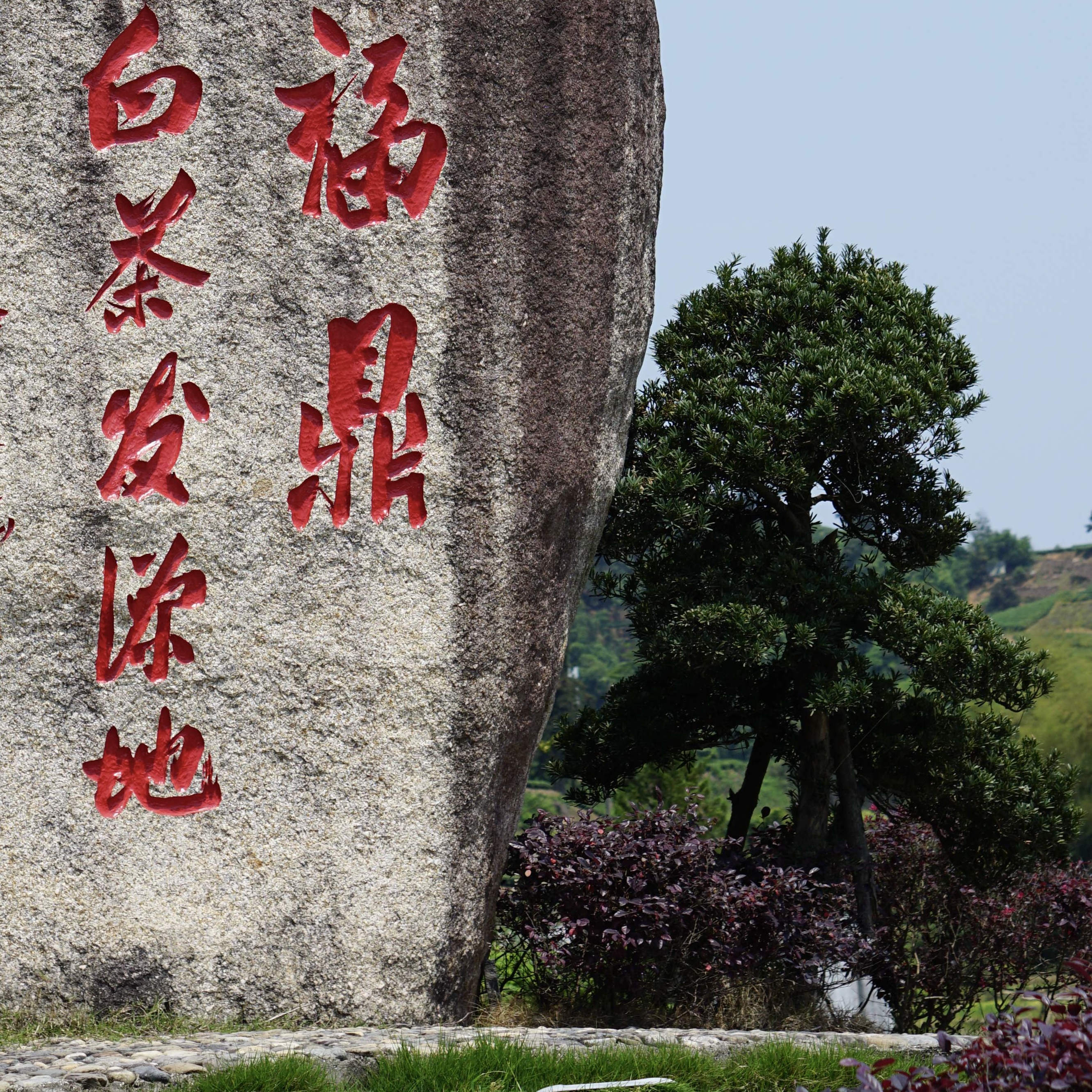 东南多奇 小金块