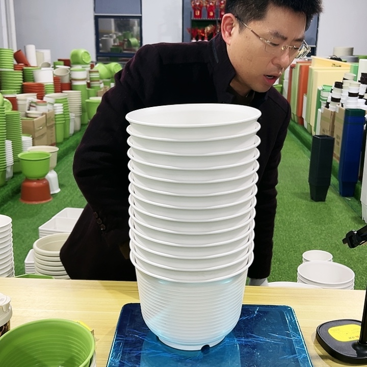 正品矮陶口21高15白色8只无托