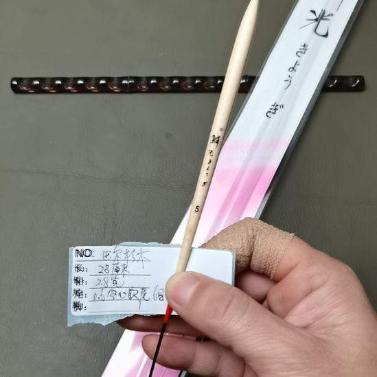 巴尔沙木鳞光碳脚，6目软尾一支