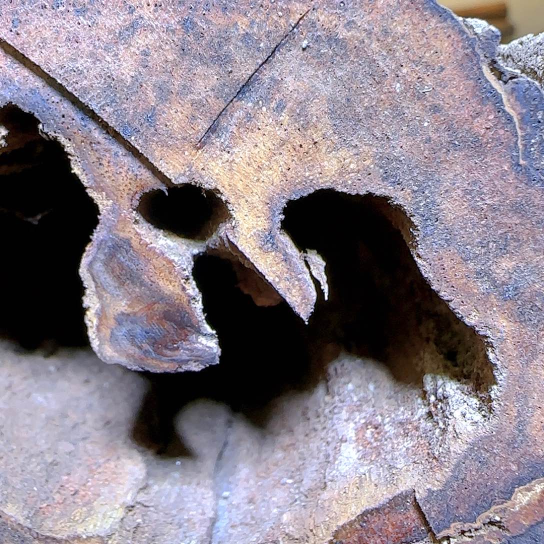 【闪购商品】木韩降真香原料开料