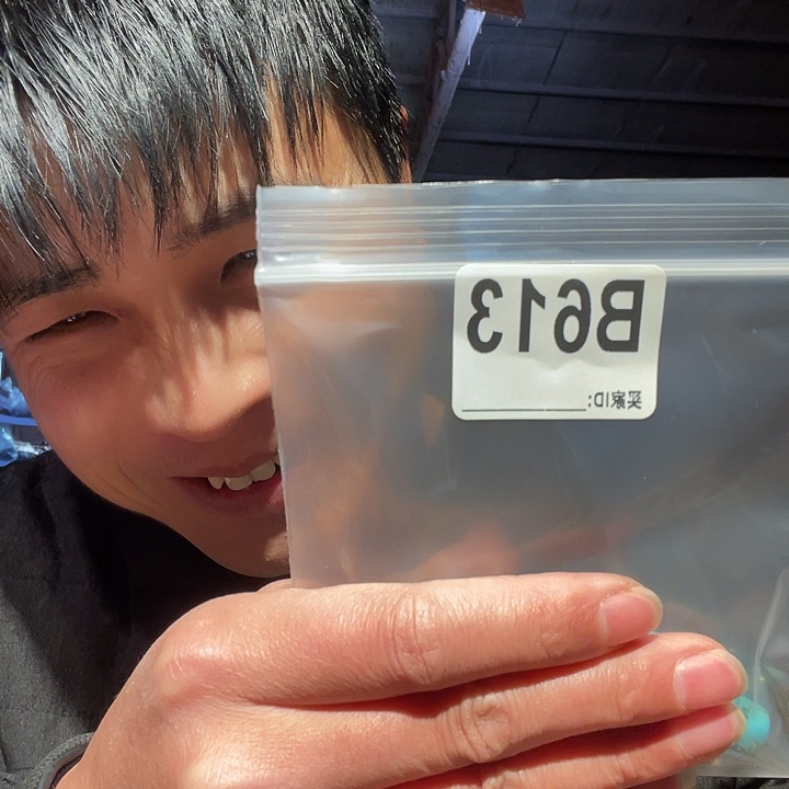 大果紫檀（缅甸花梨）613