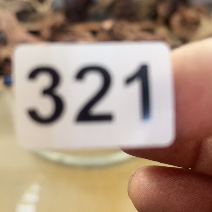 风车木（黑檀木）粥*兜我们都是很喜欢的