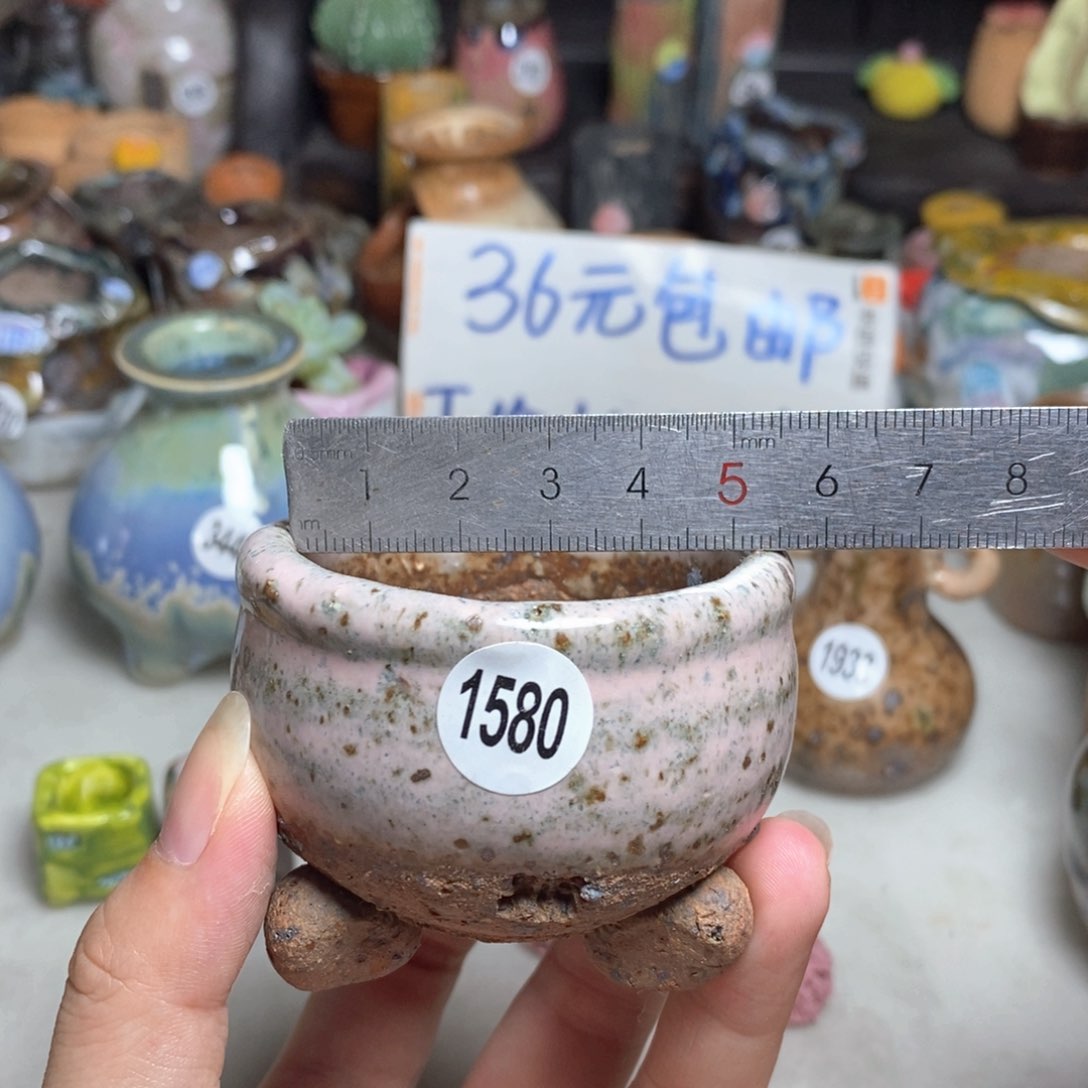 拍3送个9.9，拍5送一同款