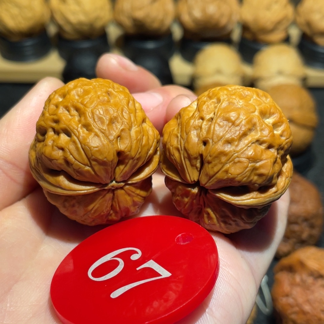 玉兔金蟾核桃34。     