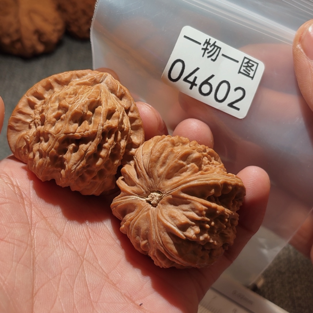 文玩核桃把件三角白