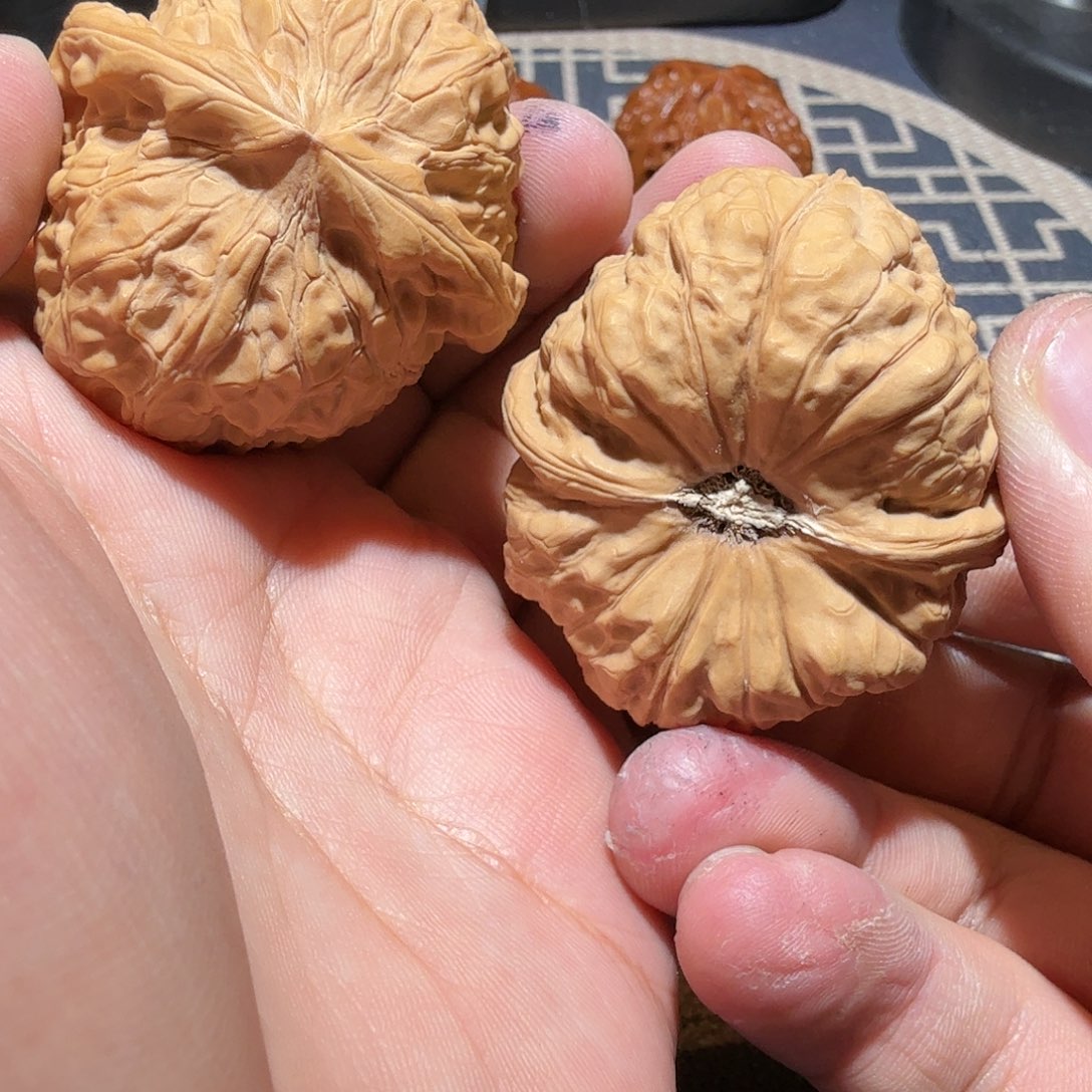 文玩核桃把件南瓜