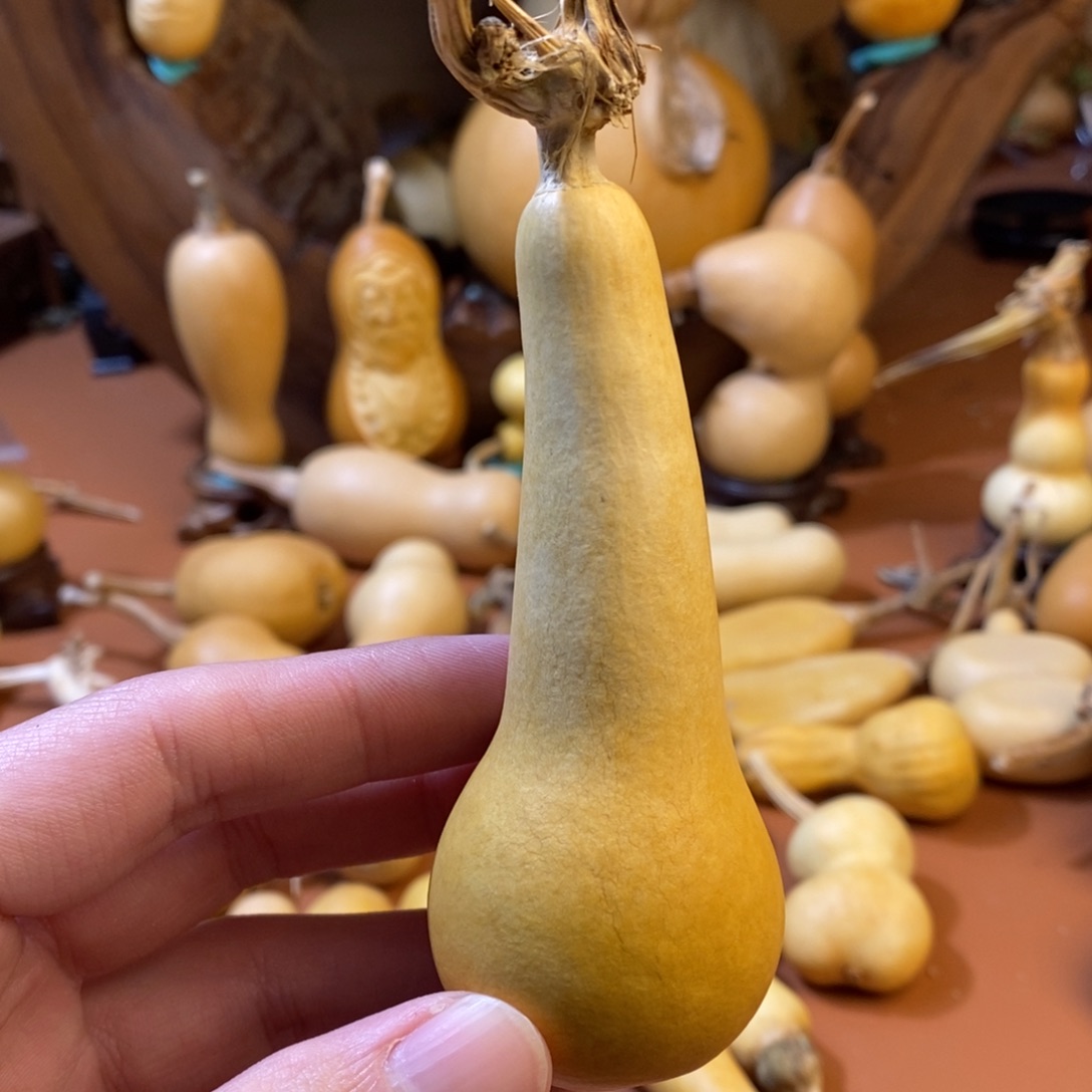 *****教练教练教练教练教练教练咯