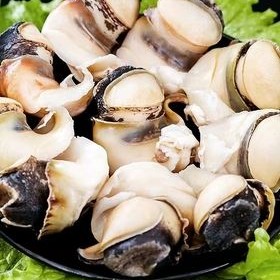 本地海螺肉鲜活处理去脏去肝