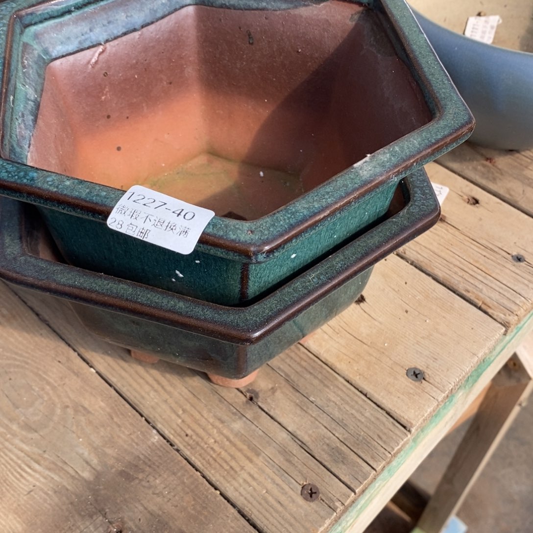 浅***茗40号花盆两个福利啦啦