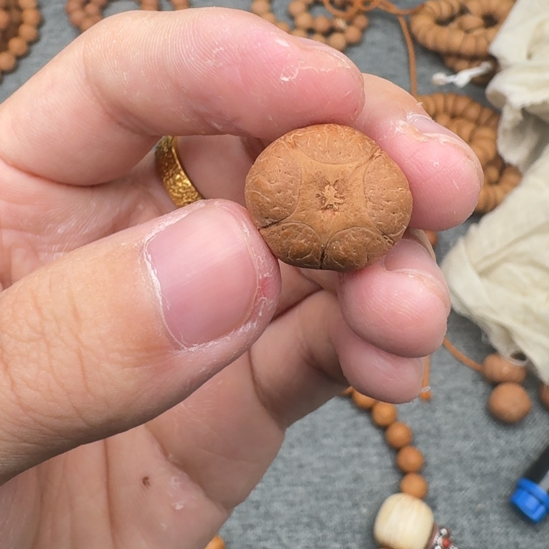 吊坠凤眼菩提18.4五星