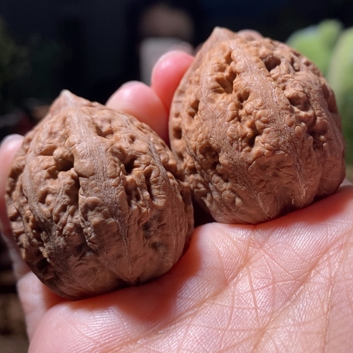 把件文玩核桃东北楸子小路 120