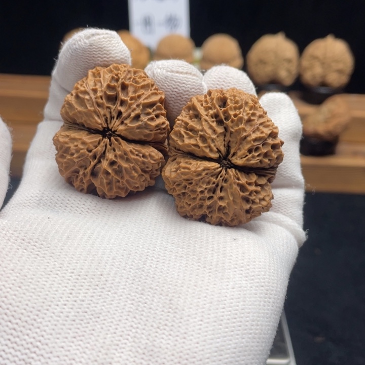 把件文玩核桃云南铁核桃50