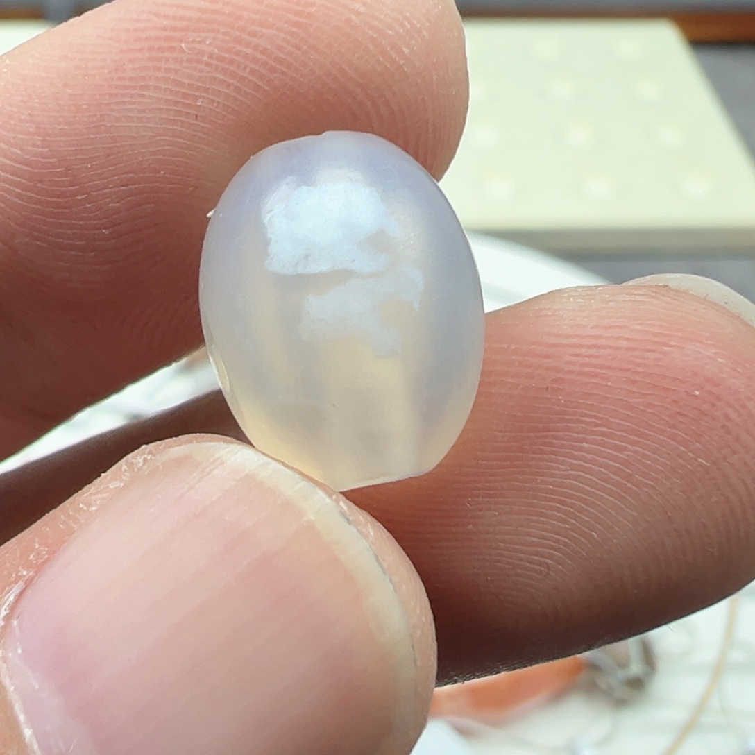 泥塑x  xy04-31   11×13.9..荔枝冻带沁