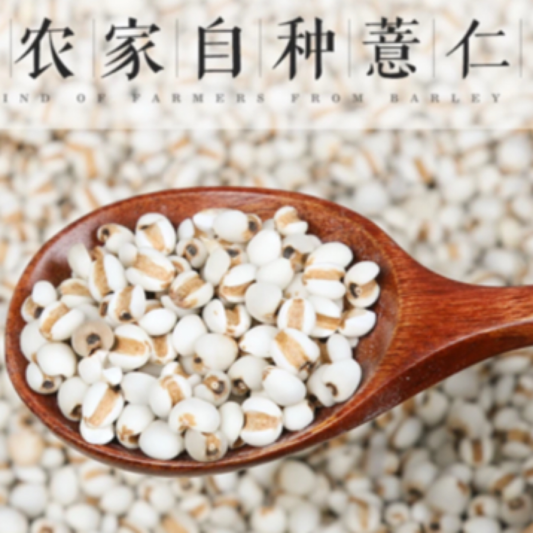 云南腾冲农家自种【薏仁米】