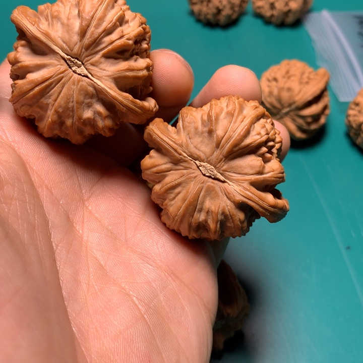 把件文玩核桃白狮子