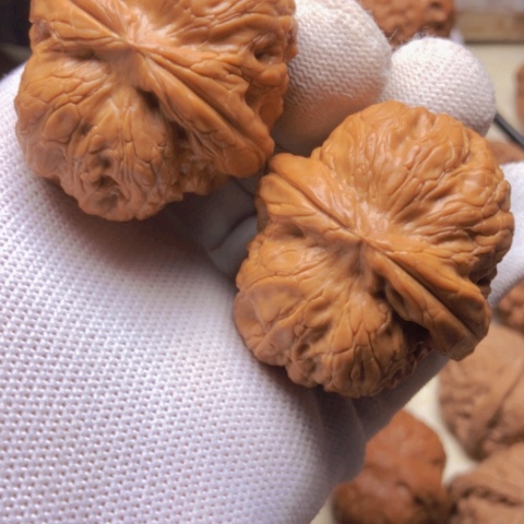 【闪购商品】桃核吊坠元宝狮子头