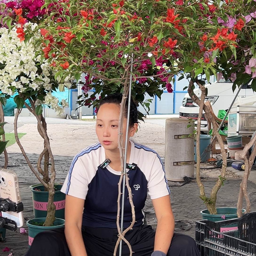 喜***在大部分花苞少量开放A92热火桑巴