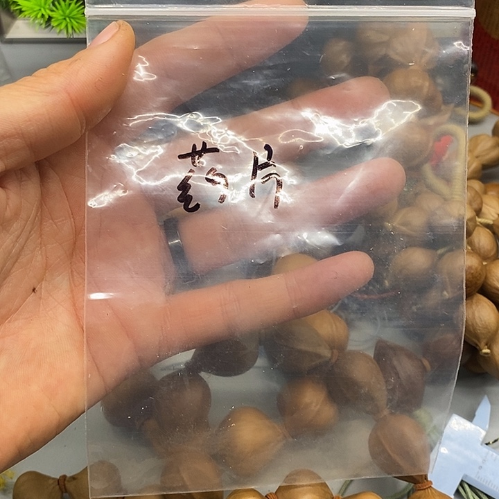 手串/手链橄榄核药片