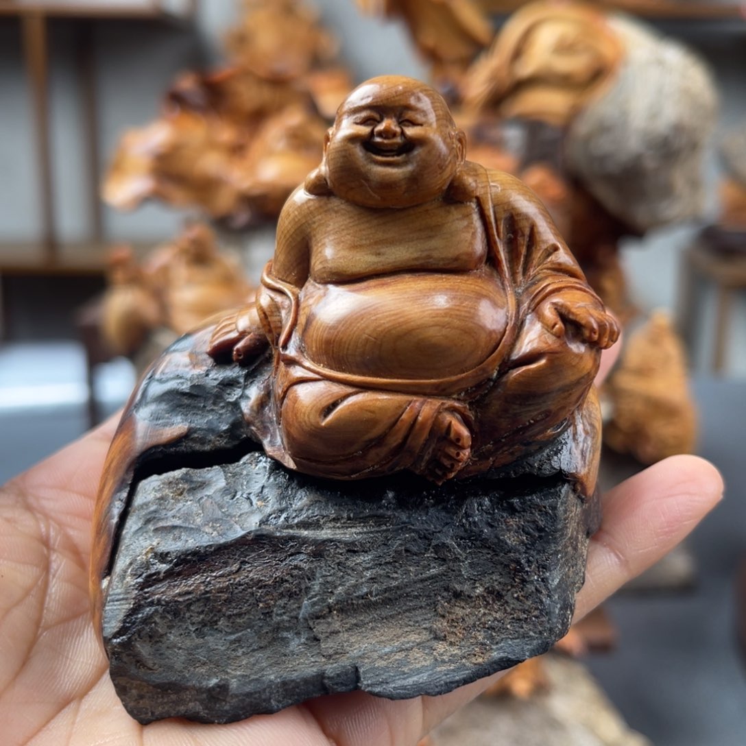 柏木（崖柏）崖柏太行山脉