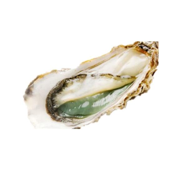 4两到5两生蚝3元一只150克