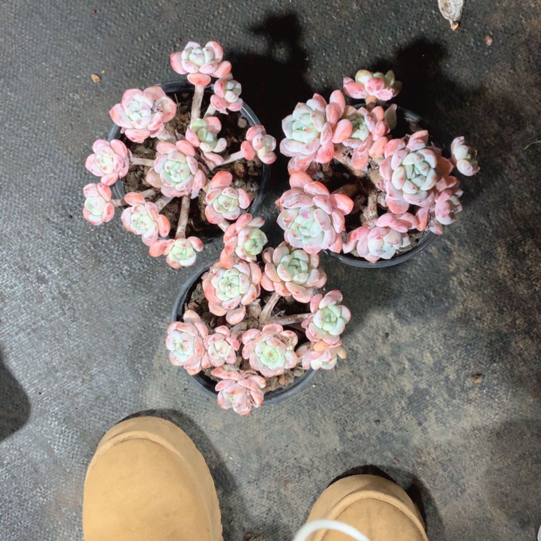 多发个护肤点点滴滴