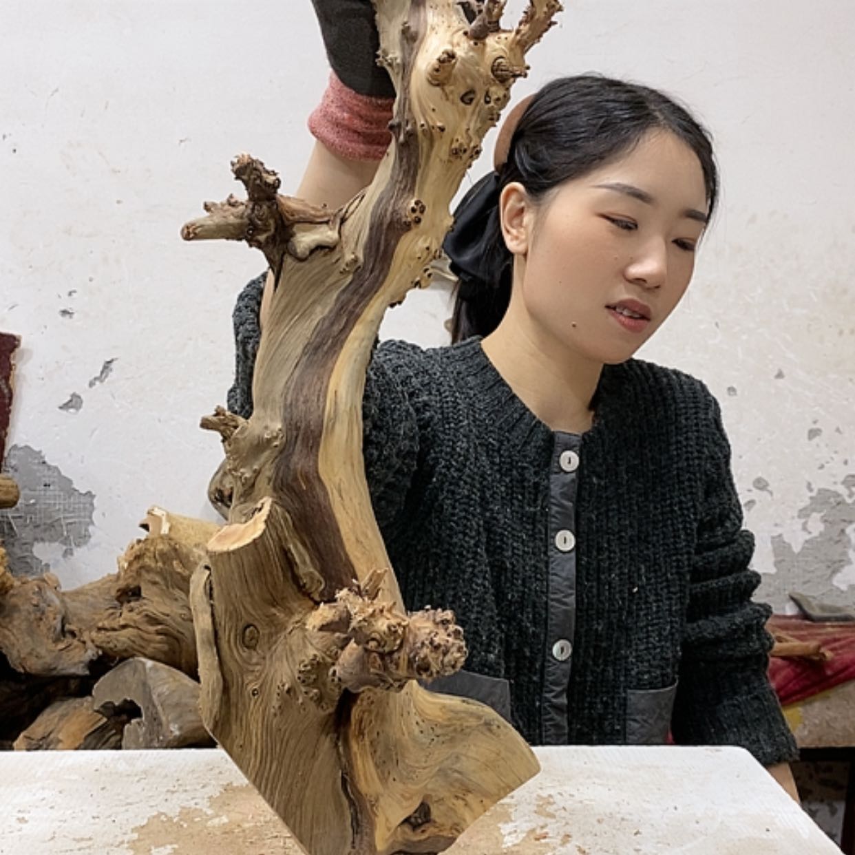 【闪购商品】柏木弘**艺我们都是好孩子