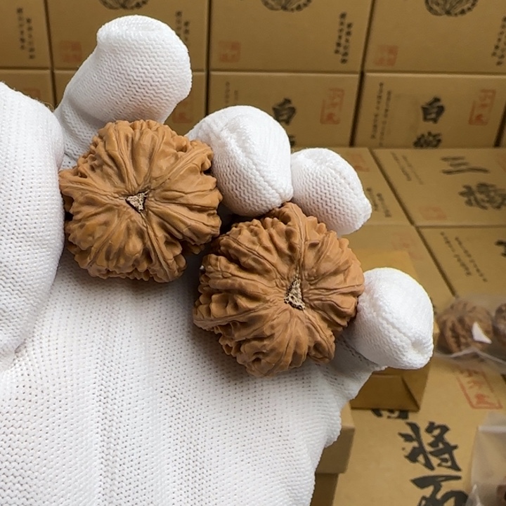 文玩核桃吊坠蟑****平简单包装玉龙三棱