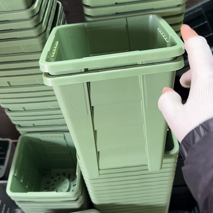 方19口径10个无托浅绿