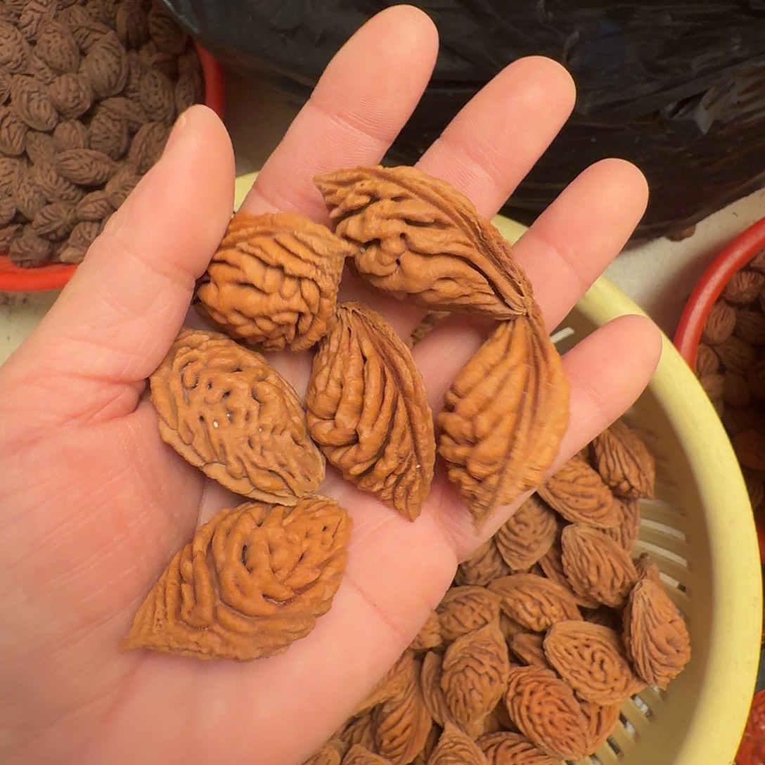 碧桃核精挑大核6颗