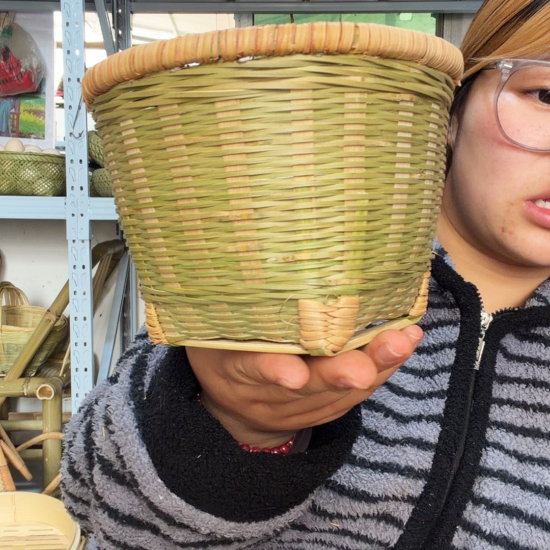 藤条和藤本将筐子